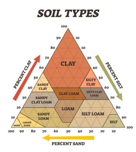 The Economic Importance of Loamy Soil in Nigeria - distinctionpass.com