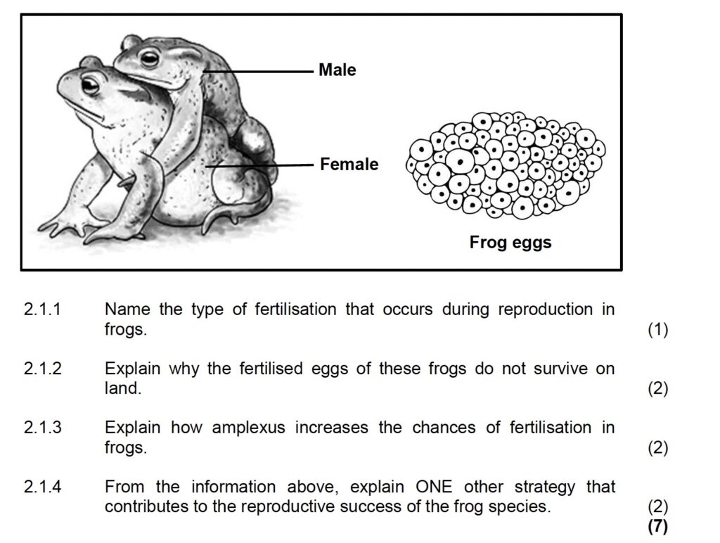 Life Sciences Grade 12 Exam Question Papers and Memos PDF Download