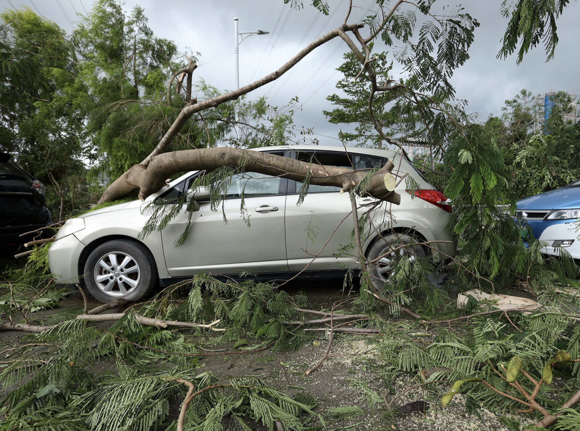 Why do Tropical Cyclones Develop in Late Summer