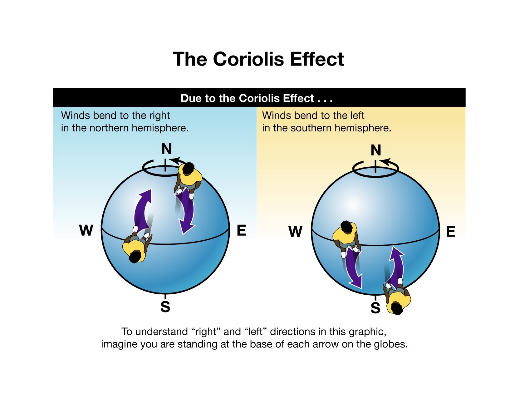 What is the impact of Coriolis force and latent heat on the development ...