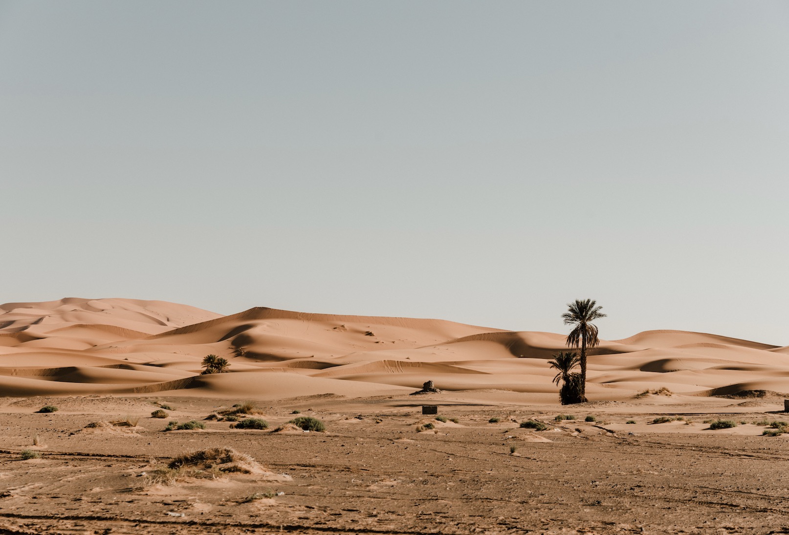 What Are the 6 Effects of Desertification?