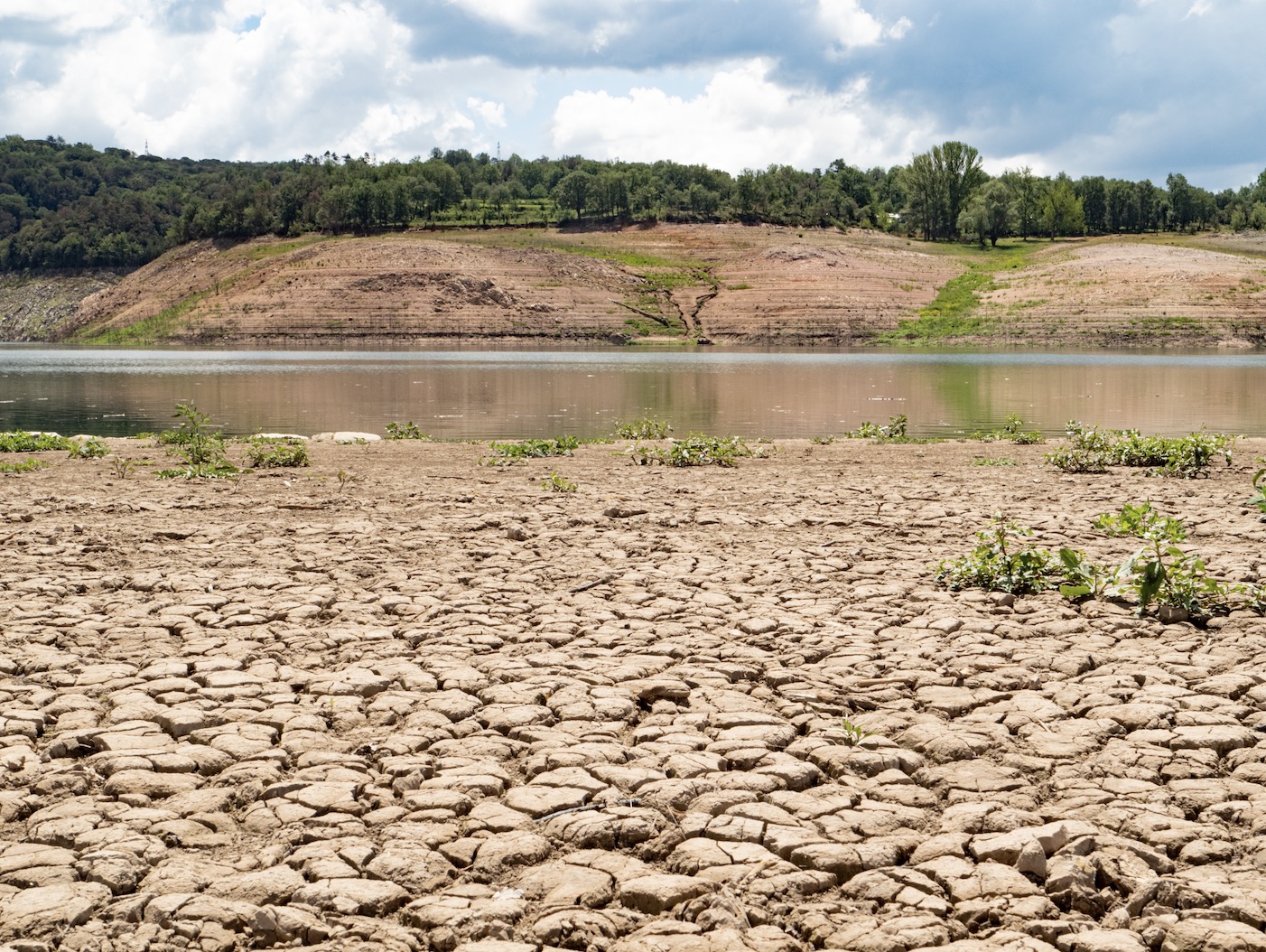 What are the Negative Impacts of Drought on the Economy of South Africa