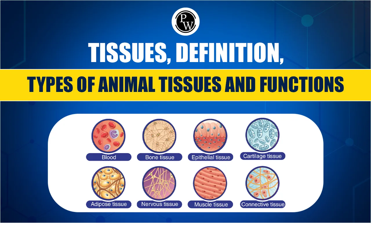Life Sciences Grade 10 Animal Tissues Notes